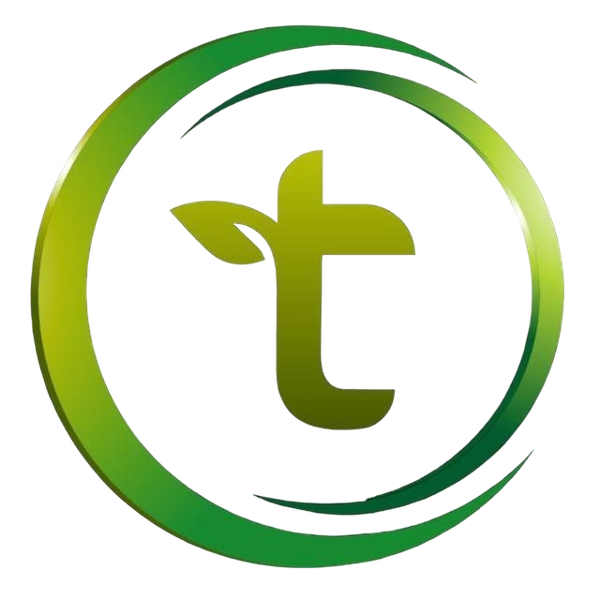 Zirve Soft Global Logo